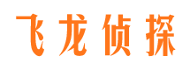 湖口市侦探公司